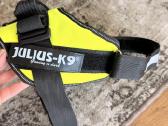 Julius K9 naujos petnešos - nuotraukos Nr. 3
