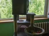 Katinų draskyklė XXL - nuotraukos Nr. 6