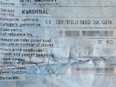 Purpuriniai dobilai Kardinal sertifikuotos sėklos