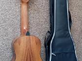 Gitara - nuotraukos Nr. 2