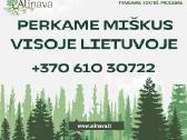 Brangiai Perku Mišką