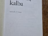 Lietuvių kalba, 10 klasė (B. Dobrovolskis, ir kt.) - nuotraukos Nr. 3