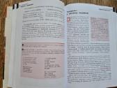 Lietuvių kalba, 10 klasė (B. Dobrovolskis, ir kt.) - nuotraukos Nr. 7