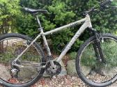 Hibridinis Conway 29