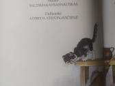 "Pelenė" - nuotraukos Nr. 5