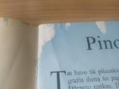 "Pinokis. Gražuolė ir pabaisa. Užburtoji fleita" - nuotraukos Nr. 5