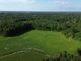 Parduodu sklypą Kauno apskr., Prienų r. - nuotraukos Nr. 2
