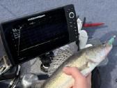 Humminbird Helix 10 ir mega live sonaras. - nuotraukos Nr. 6
