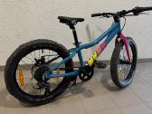 Dviratis 20 Bergamont Bergamonster 20 Plus 2025