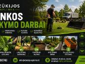 Griovimo darbai - aplinkos tvarkymas - nuotraukos Nr. 5