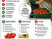 Darbai Olandijoje, Švedijoje,Vokietijoje