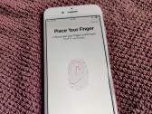 Apple 7 rose gold