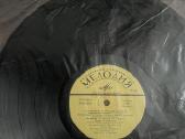 Vinilai - nuotraukos Nr. 5