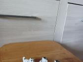 Kates-figureles - nuotraukos Nr. 21