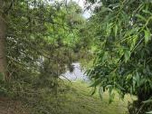 Parduodamas sklypas ant Nevėžio kranto (skardžio) - nuotraukos Nr. 17