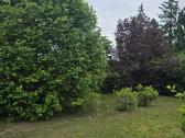Parduodamas sklypas ant Nevėžio kranto (skardžio) - nuotraukos Nr. 24