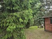 Parduodamas sklypas ant Nevėžio kranto (skardžio) - nuotraukos Nr. 27