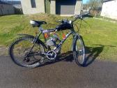 Motorinis Dviratis Avenger 85 - nuotraukos Nr. 4