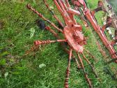 Parduodu Fella Ts 335 Rde
