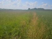 7.2 ha dirbama zeme, netoli Raudenu k, po 4900/ha - nuotraukos Nr. 4