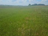 7.2 ha dirbama zeme, netoli Raudenu k, po 5250/ha - nuotraukos Nr. 4