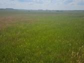 7.2 ha dirbama zeme, netoli Raudenu k, po 4900/ha - nuotraukos Nr. 5