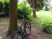 Bike - nuotraukos Nr. 2