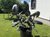 Parduodamas stambialapis fikusas (Ficus elastica)