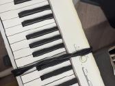 Casio Cdp-s110 We su stovu - nuotraukos Nr. 3