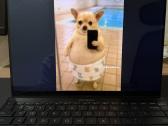 Asus Zenbook 14x Oled