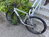 Rose backroad 2023m 53cm