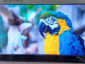 TV Tcl 65 coliai