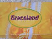 Graceland geltonos balerinos 38dydis - nuotraukos Nr. 7