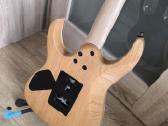 Gitaros - nuotraukos Nr. 4