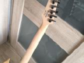 Gitaros - nuotraukos Nr. 6