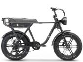 Elektrinis dviratis Ape Ryder A10, L, 20", 250 W