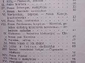 Senoji Prancūzija - nuotraukos Nr. 3