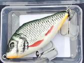 Jerk bait masalas