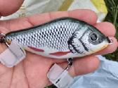Jerk bait masalas - nuotraukos Nr. 3