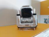 Anki Cozmo - nuotraukos Nr. 4