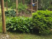 Sodo sklypas Viktariškių km - nuotraukos Nr. 6