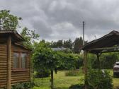 Sodo sklypas Viktariškių km - nuotraukos Nr. 9
