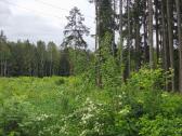 Sodo sklypas Viktariškių km - nuotraukos Nr. 12