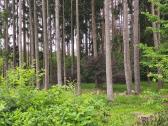 Sodo sklypas Viktariškių km - nuotraukos Nr. 14