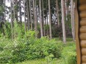 Sodo sklypas Viktariškių km - nuotraukos Nr. 15