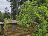 Sodo sklypas Viktariškių km - nuotraukos Nr. 22