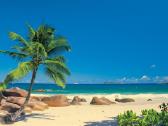 Fototapetai Sunny decor Sd006 270cm x 194cm - nuotraukos Nr. 4