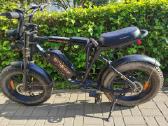 Engwe M20 Electric Bike 750w Dual Battery