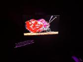 Samsung Odyssey G7 S28bg700, 4k, 1ms, 144 Hz - nuotraukos Nr. 13