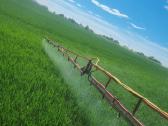 Agrodilerio purkštuvas 800l - nuotraukos Nr. 3